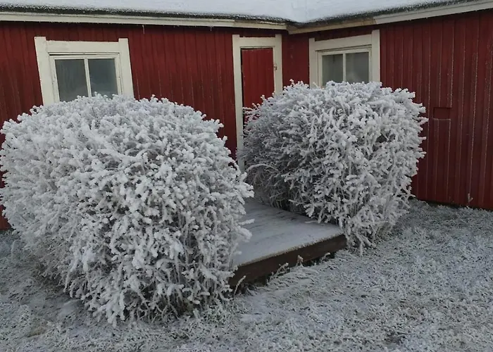 Puskan Mummola Tatil Evi *