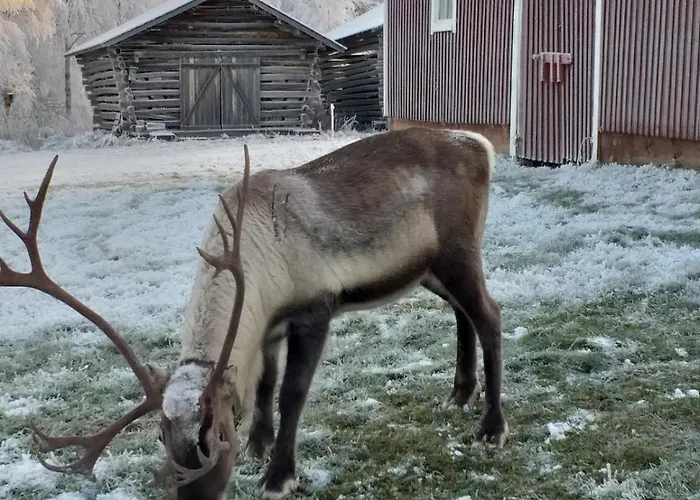 Puskan Mummola Pello