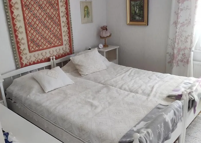 Tatil Evi Puskan Mummola *