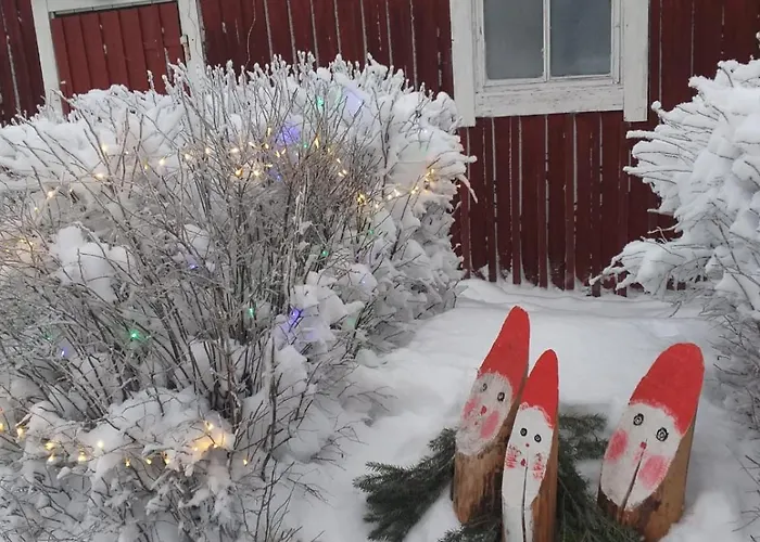 Tatil Evi Puskan Mummola Pello